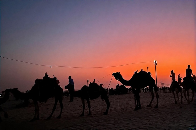 Silhouette of a camel caravan against a vibrant UAE sunset sky